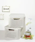 CURVER "STYLE" M MÉRETŰ RATTAN KOSÁR FEDÉLLEL 18L - KRÉM - Image 5