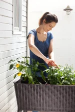 EASY GROW MŰRATTAN VIRÁGLÁDA 120 L - Image 8