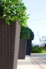 RATTAN PLANTER M MŰRATTAN VIRÁGLÁDA 55 - Image 4