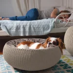 "KNIT" CURVER KISÁLLAT KUCKÓ