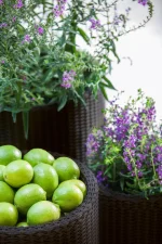 S+M+L CYLINDER PLANTERS MŰRATTAN KASPÓ SZETT - Image 4