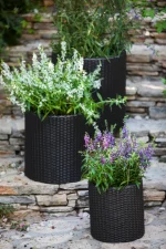 S+M+L CYLINDER PLANTERS MŰRATTAN KASPÓ SZETT - Image 4