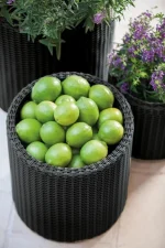 S+M+L CYLINDER PLANTERS MŰRATTAN KASPÓ SZETT - Image 5